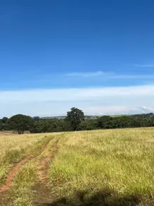 Sítio Rural, Uberlândia - MG — foto 2