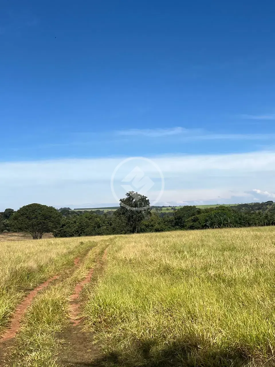 Image 2 - Sítio em Rural, Uberlândia - MG