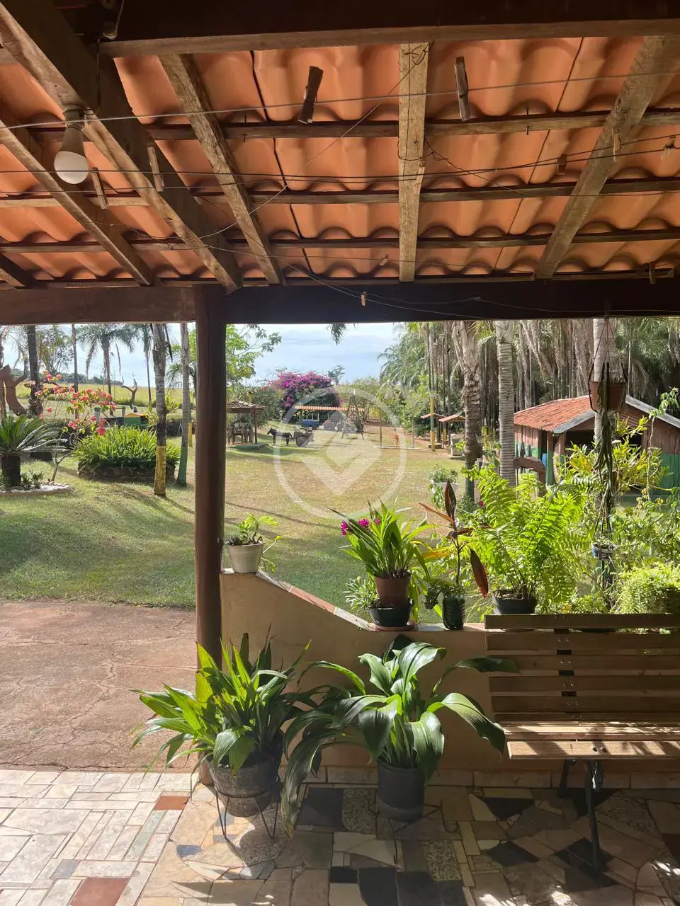 Imagem 1 - Sítio em Rural, Uberlândia - MG