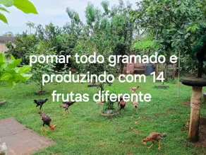 Imagem 3 - Chácara em Valparaíso, Uberlândia - MG