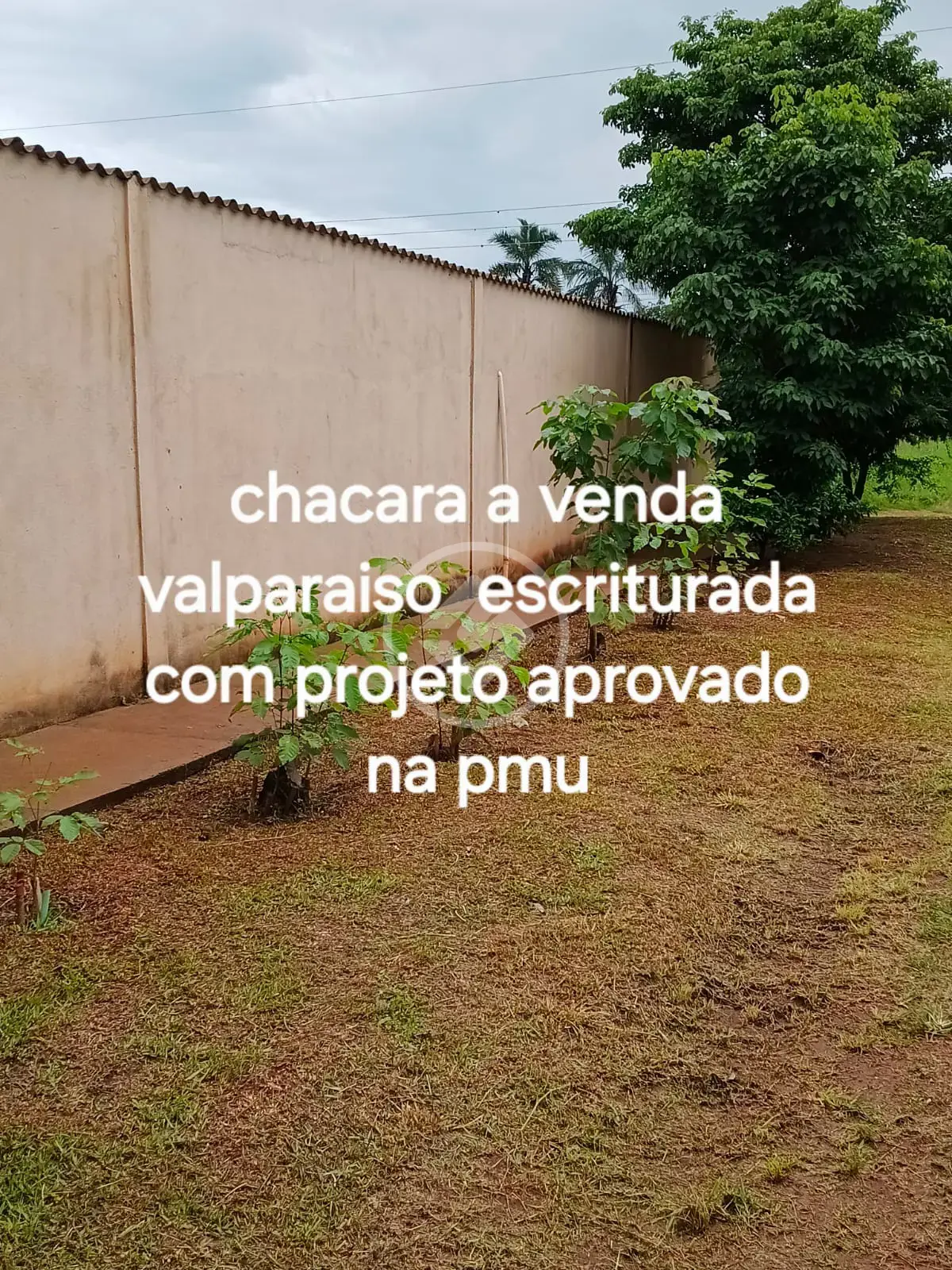 Image 2 - Chácara em Valparaíso, Uberlândia - MG