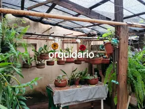 Imagem 5 - Chácara em Valparaíso, Uberlândia - MG