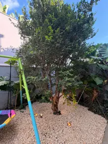 Imagem 6 - Casa Condomínio em Jardim Sul, Uberlândia - MG