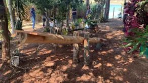 Imagem 5 - Chácara em Zona Rural, Cascalho Rico - MG