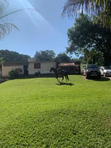 Imagem 3 - Chácara em Zona Rural, Cascalho Rico - MG