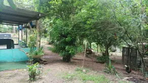Imagem 3 - Chácara em Zona Rural, Araguari - MG