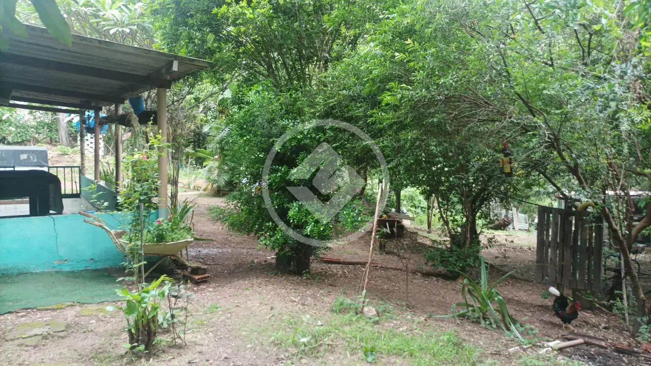 Imagem 3 - Chácara em Zona Rural, Araguari - MG