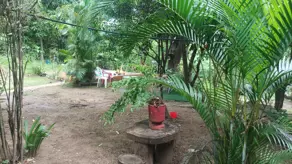 Imagem 2 - Chácara em Zona Rural, Araguari - MG