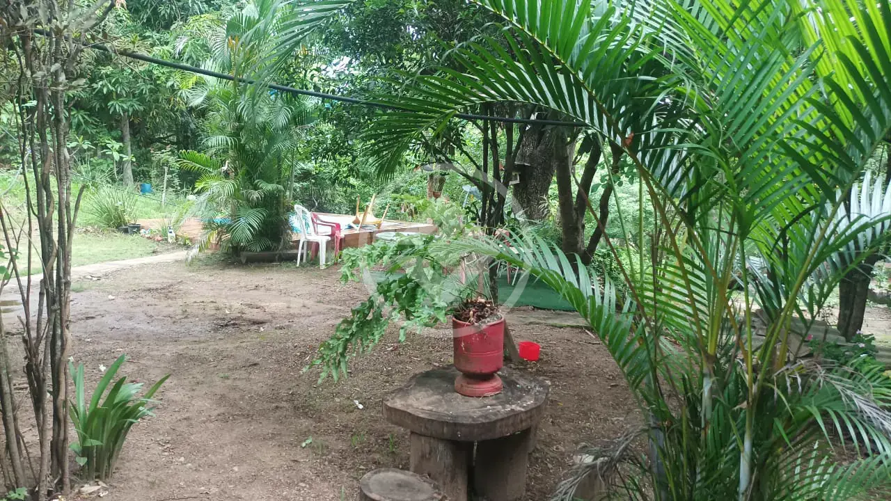 Imagem 2 - Chácara em Zona Rural, Araguari - MG