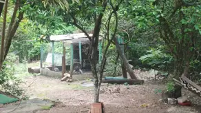 Chácara Zona Rural, Araguari - MG — foto 2