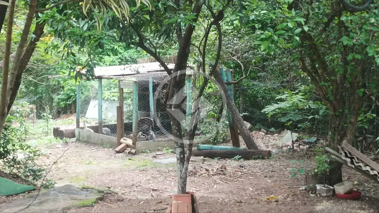 Imagem 1 - Chácara em Zona Rural, Araguari - MG