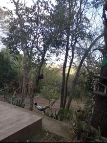 Imagem 6 - Chácara em Zona Rural, Araguari - MG