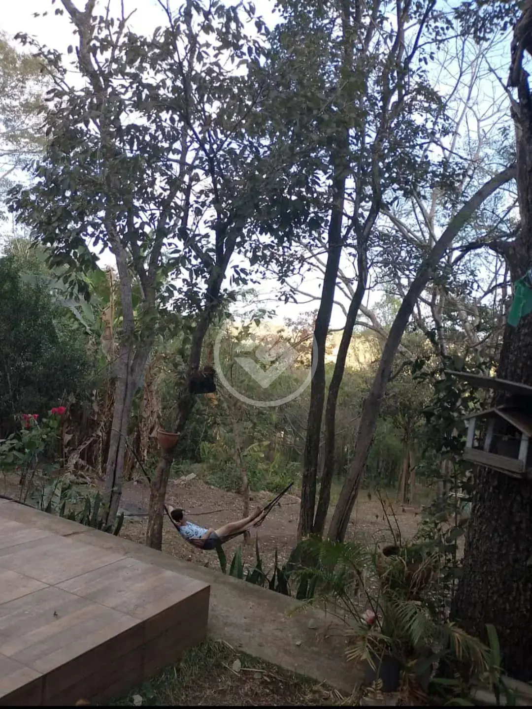 Imagem 6 - Chácara em Zona Rural, Araguari - MG