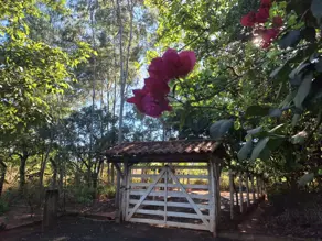 Imagem 6 - Chácara em City Uberlândia, Uberlândia - MG