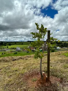 Terreno Condomínio GRANJA MARILEUSA, Uberlândia - MG — foto 2