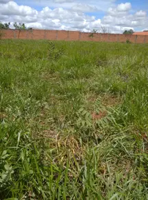 Chácara Área Rural de Uberlândia, Uberlândia - MG — foto 2