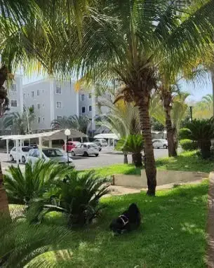 Image 13 - Apartamento em Chácaras Tubalina e Quartel, Uberlândia - MG