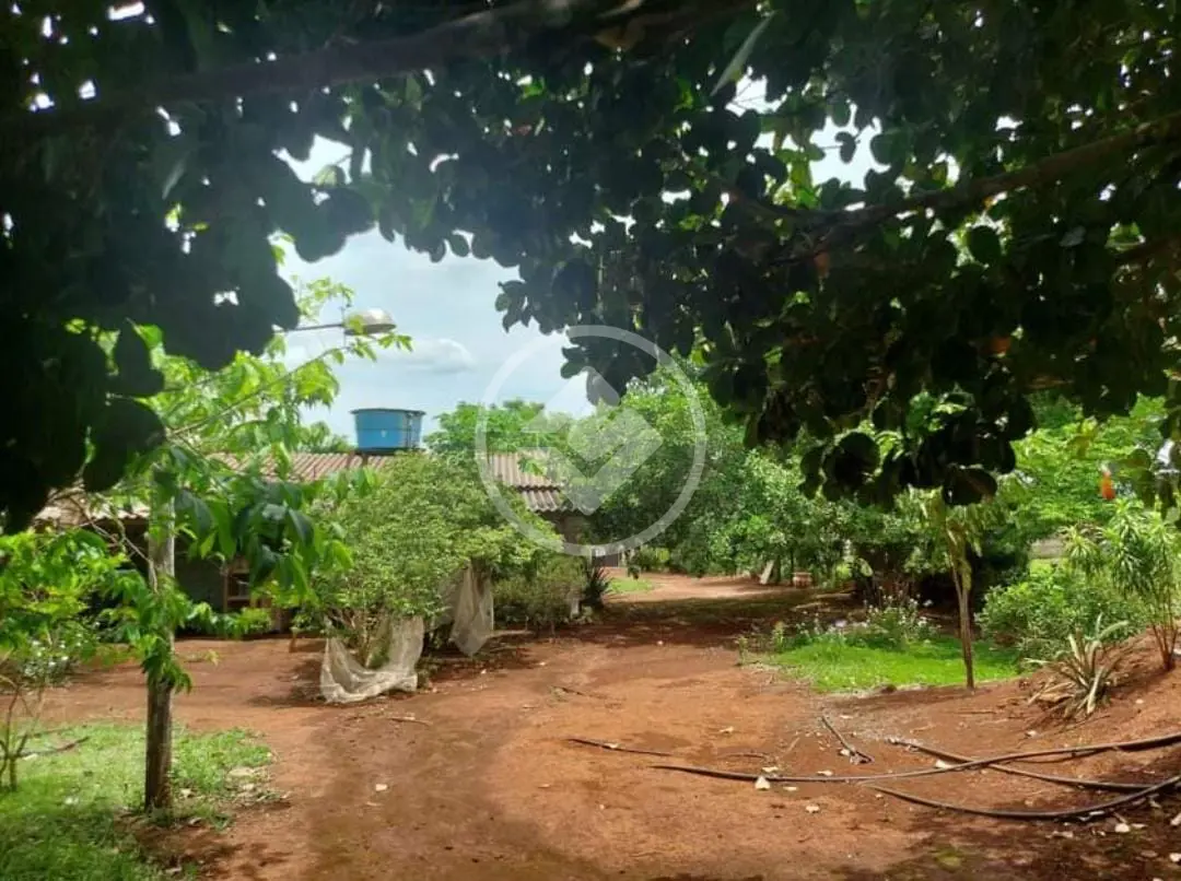 Imagem 3 - Chácara em Área Rural de Uberlândia, Uberlândia - MG