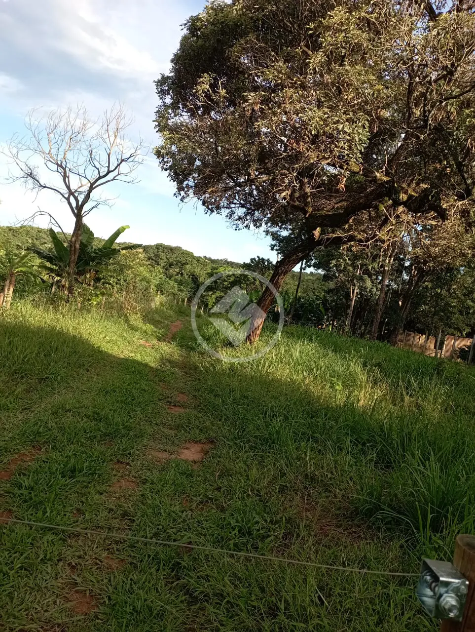 Imagem 2 - Chácara em Zona Rural, Cascalho Rico - MG