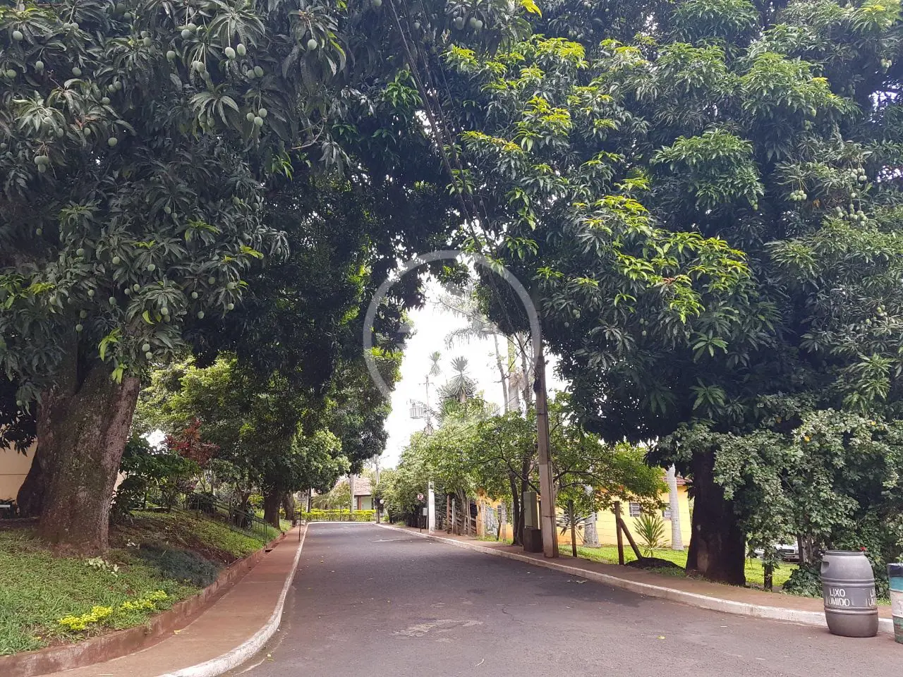 Imagem 4 - Apartamento em Fundinho, Uberlândia - MG