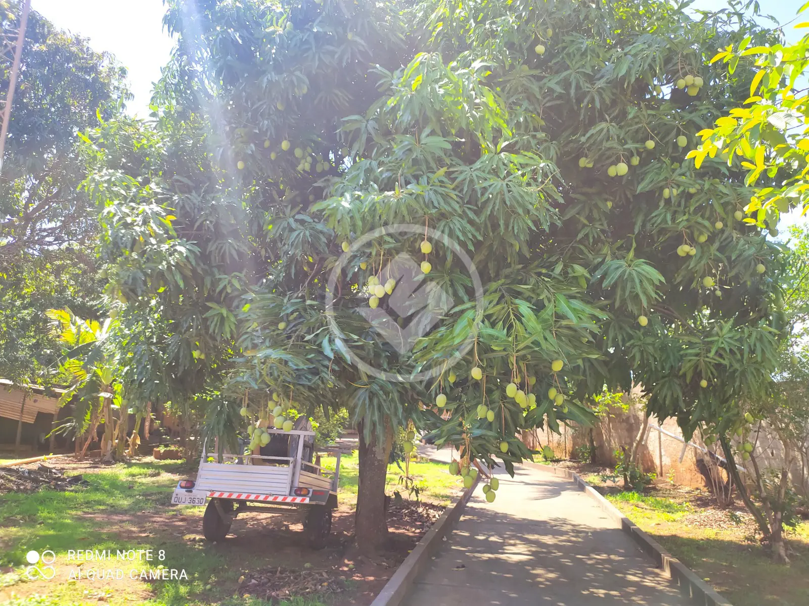 Imagem 4 - Chácara em Morada Nova, Uberlândia - MG