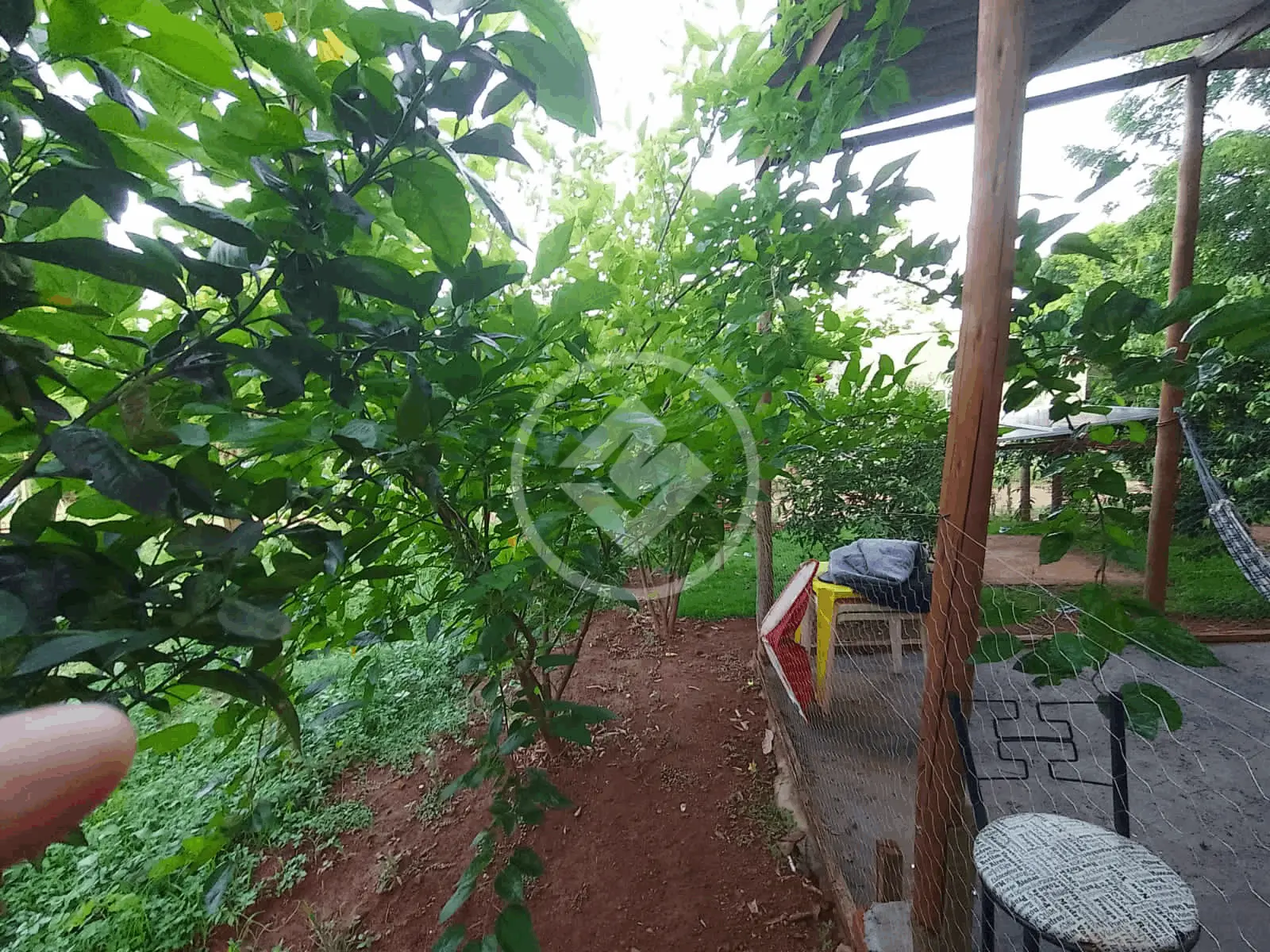 Imagem 5 - Chácara em Martinésia, Uberlândia - MG