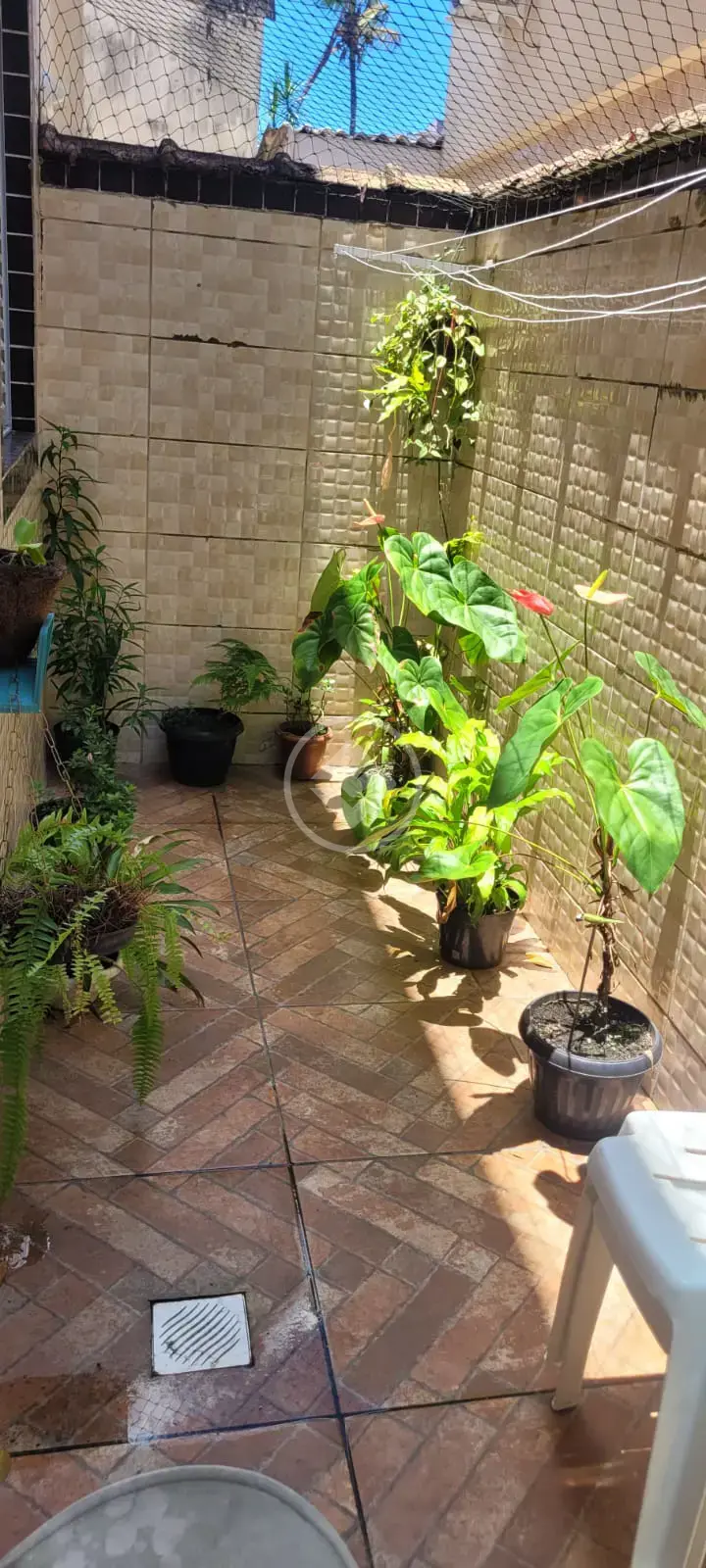 Image 2 - Casa em Macuco, Santos - SP