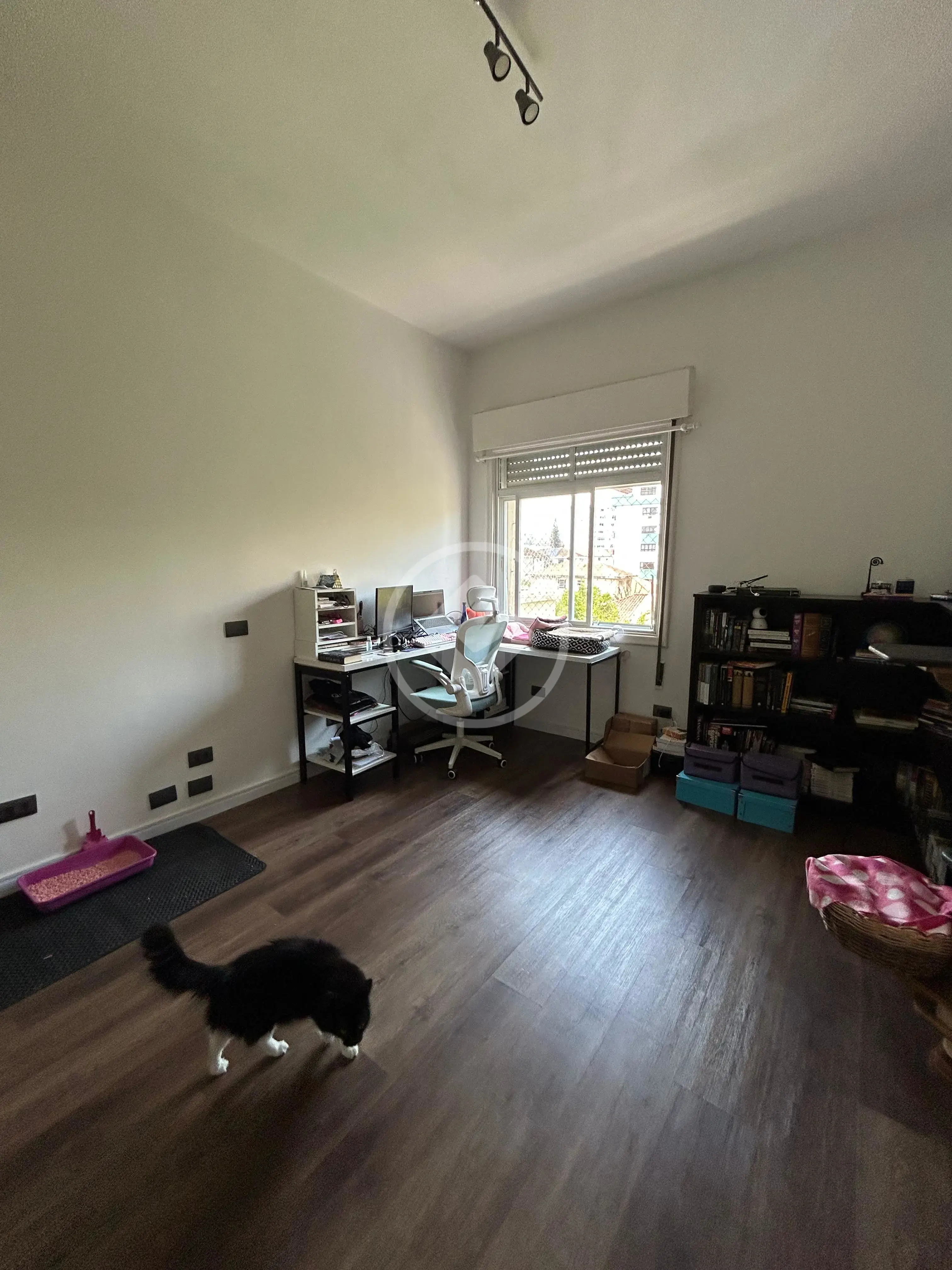 Image 27 - Apartamento em Campo Grande, Santos - SP