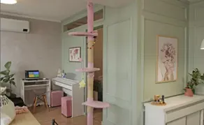 Imagem 6 - Apartamento em José Menino, Santos - SP