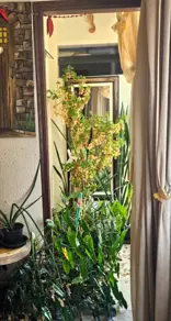 Imagem 4 - Apartamento em Ponta da Praia, Santos - SP