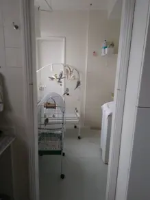 Imagem 6 - Apartamento em Ponta da Praia, Santos - SP