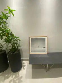 Imagem 6 - Sala Comercial em Vila Mathias, Santos - SP