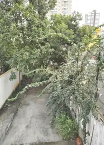 Imagem 5 - Casa Comercial em Campo Grande, Santos - SP