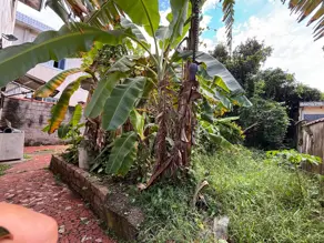 Imagem 3 - Terreno em Vila Sao Jorge, São Vicente - SP