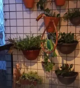 Imagem 4 - Apartamento em Aparecida, Santos - SP