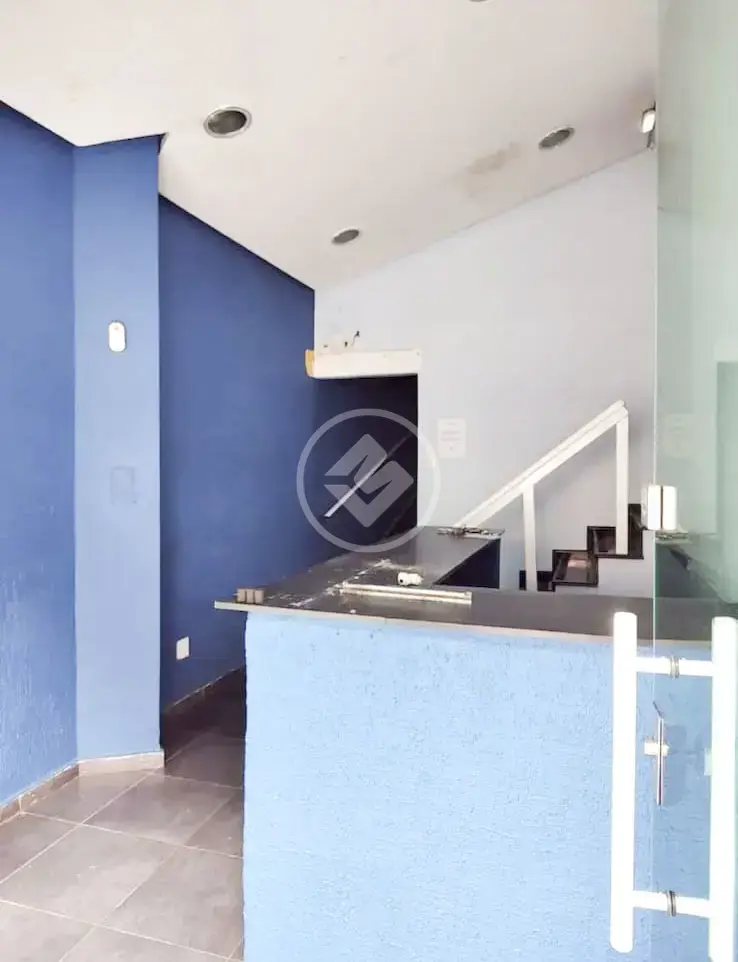 Imagem 4 - Casa Comercial em Campo Grande, Santos - SP