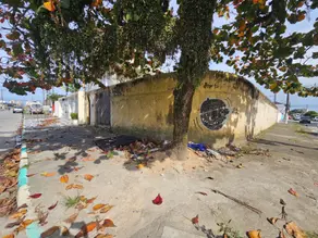 Imagem 3 - Terreno em Jardim Melvi, Praia Grande - SP
