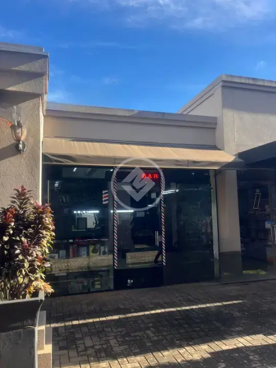 Imagem 1 - Sala Comercial em Belvedere Terra Nova, São José do Rio Preto - SP