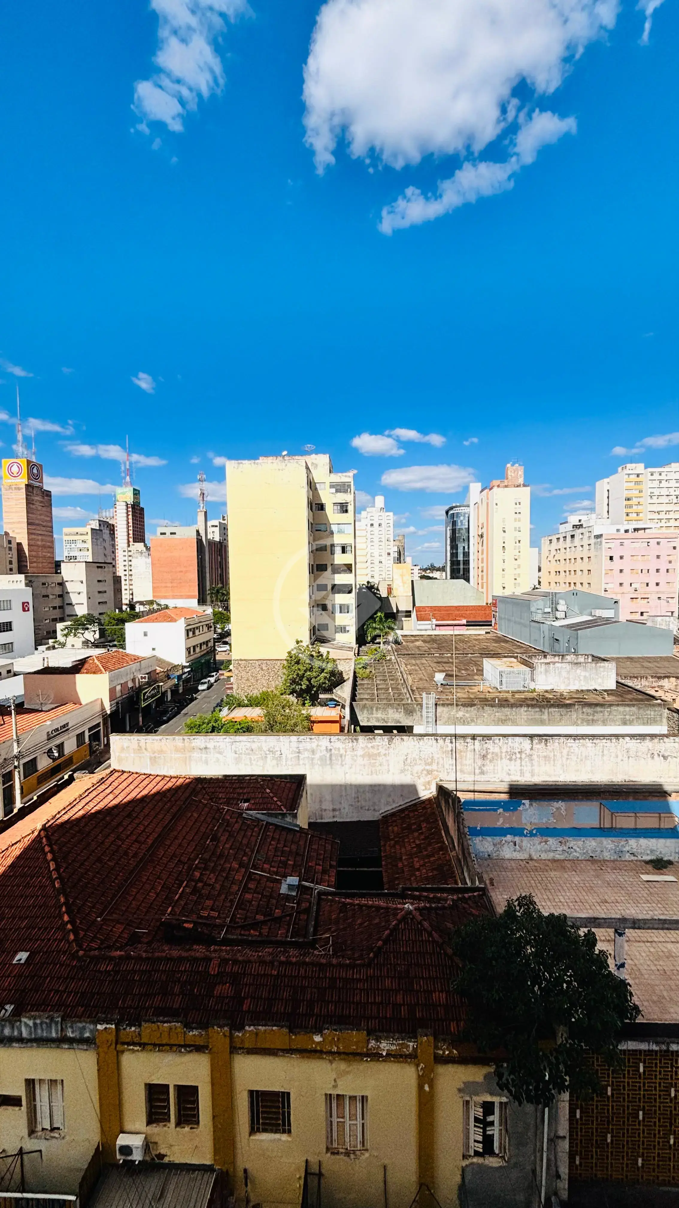 Imagem 4 - Apartamento em Centro, São José do Rio Preto - SP