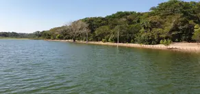 Imagem 5 - Terreno Condomínio em Centro, Sales - SP