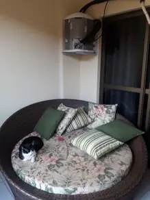 Imagem 5 - Apartamento em Jardim Bela Vista, São José do Rio Preto - SP