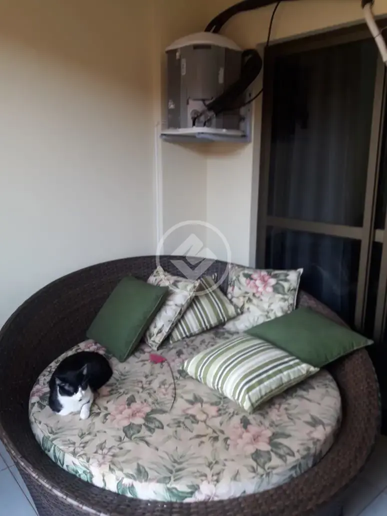 Imagem 5 - Apartamento em Jardim Bela Vista, São José do Rio Preto - SP