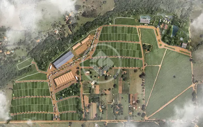 Imagem 1 - Terreno Condomínio em Centro, Ipiguá - SP