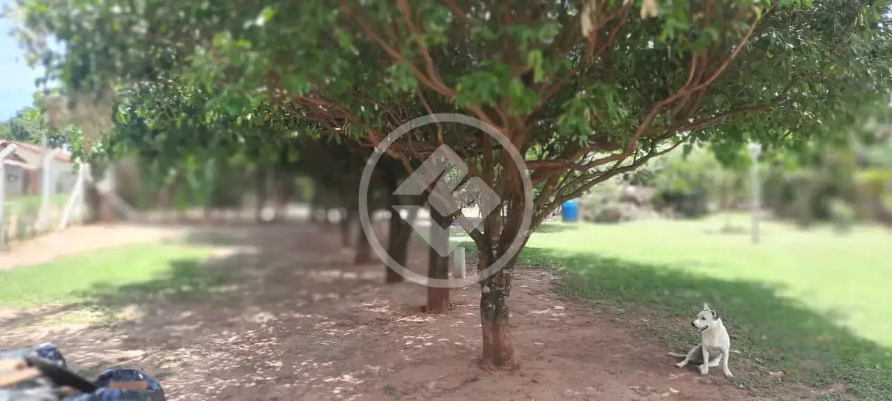 Image 33 - Chácara em Condomínio São Miguel Arcanjo (Zona Rural), São José do Rio Preto - SP