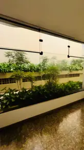 Imagem 5 - Apartamento em Centro, São José do Rio Preto - SP