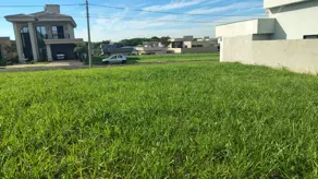Imagem 6 - Terreno Condomínio em Terras Alphaville Mirassol, Mirassol - SP