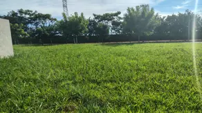 Imagem 5 - Terreno Condomínio em Terras Alphaville Mirassol, Mirassol - SP