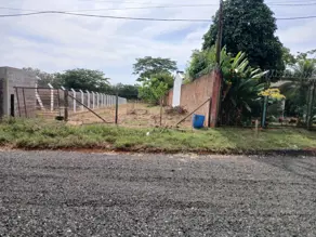 Imagem 2 - Terreno em Estância das Paineiras Nova Cedral, Cedral - SP