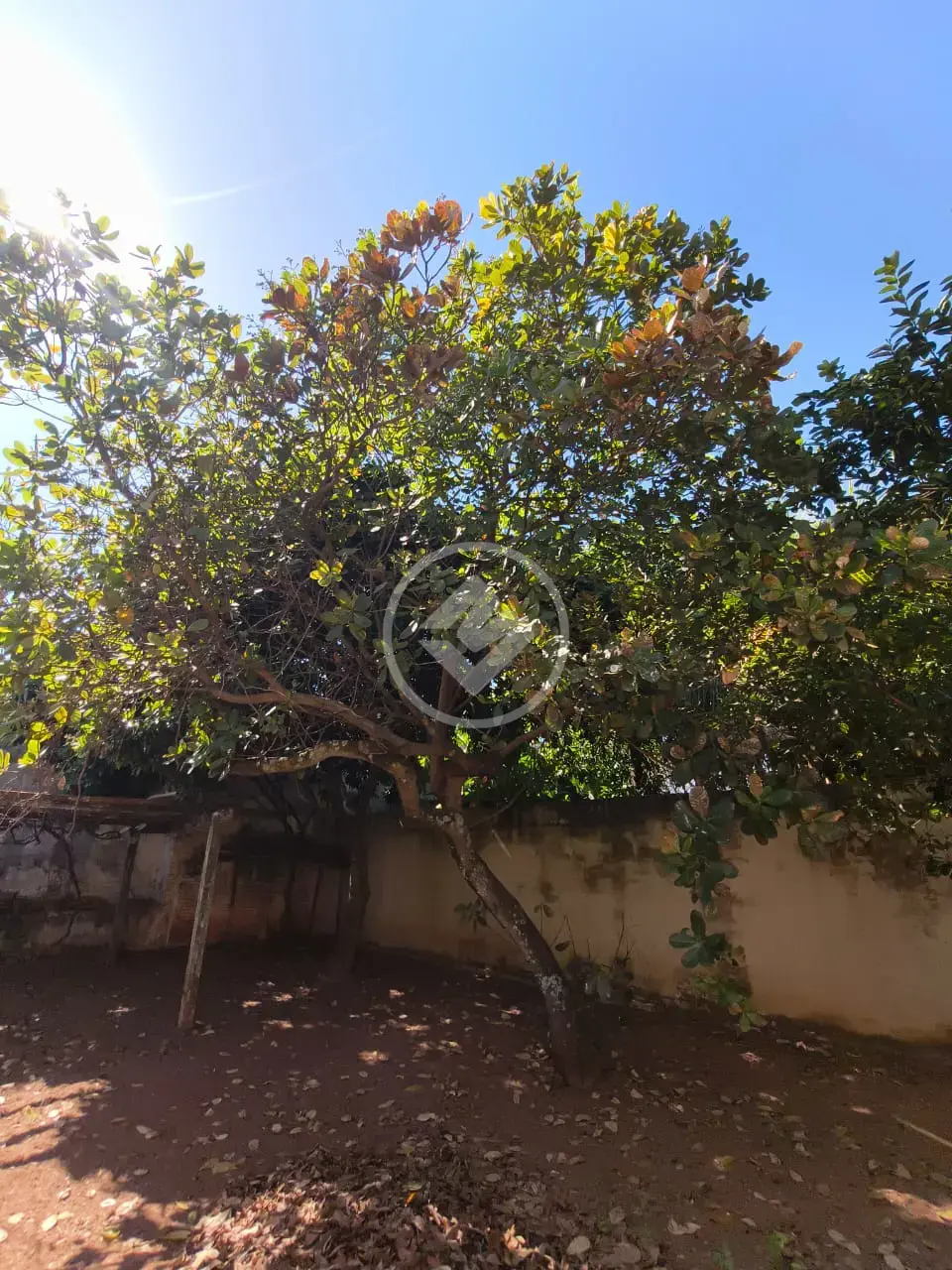 Image 19 - Casa em Centro, Mirassol - SP