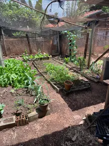 Imagem 3 - Casa Condomínio em Centro, Fronteira - MG